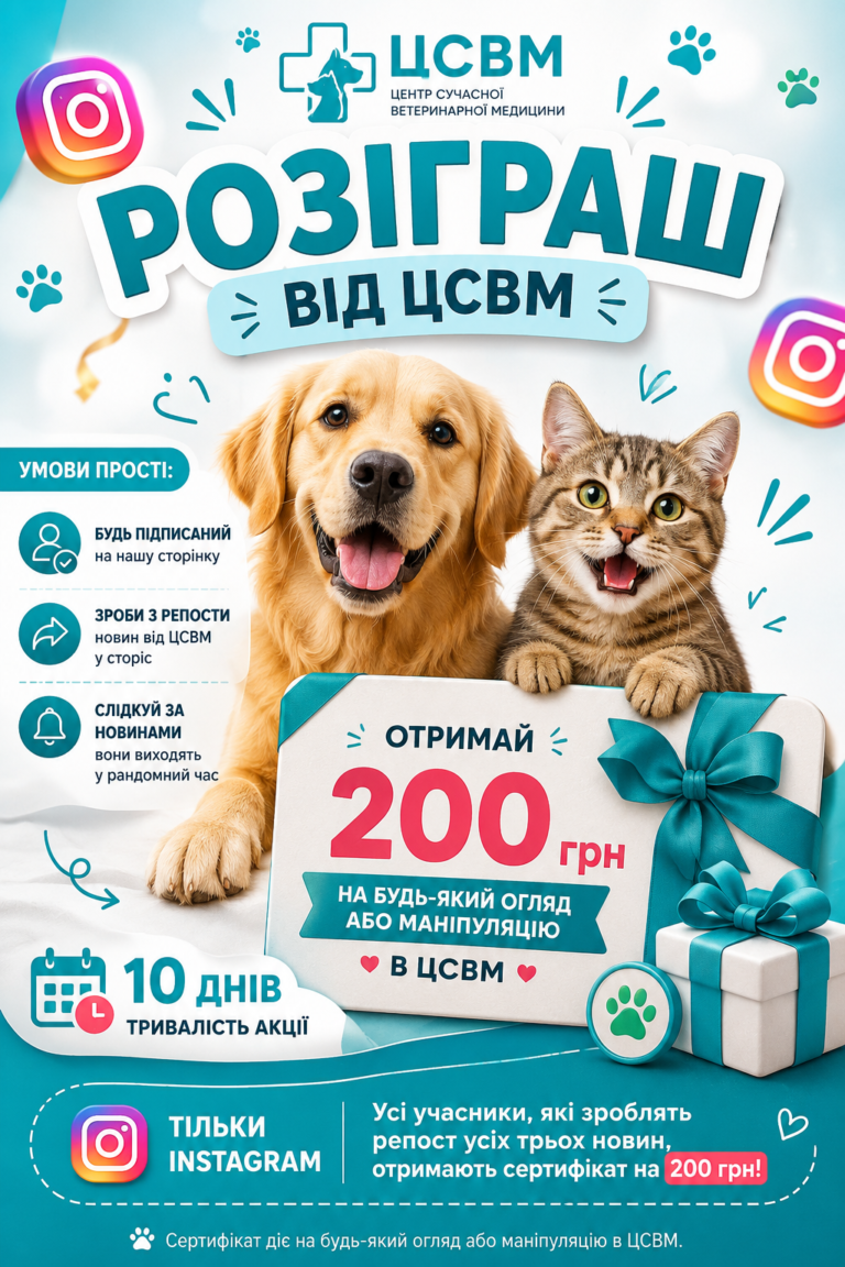 РОЗІГРАШ ВІД ЦСВМ