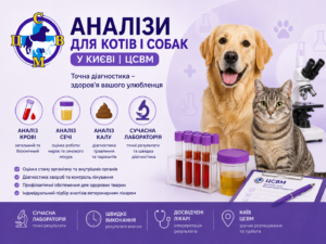 Аналізи для котів і собак у Києві
