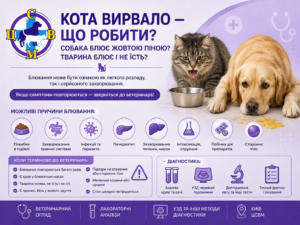Кіт або собака блює